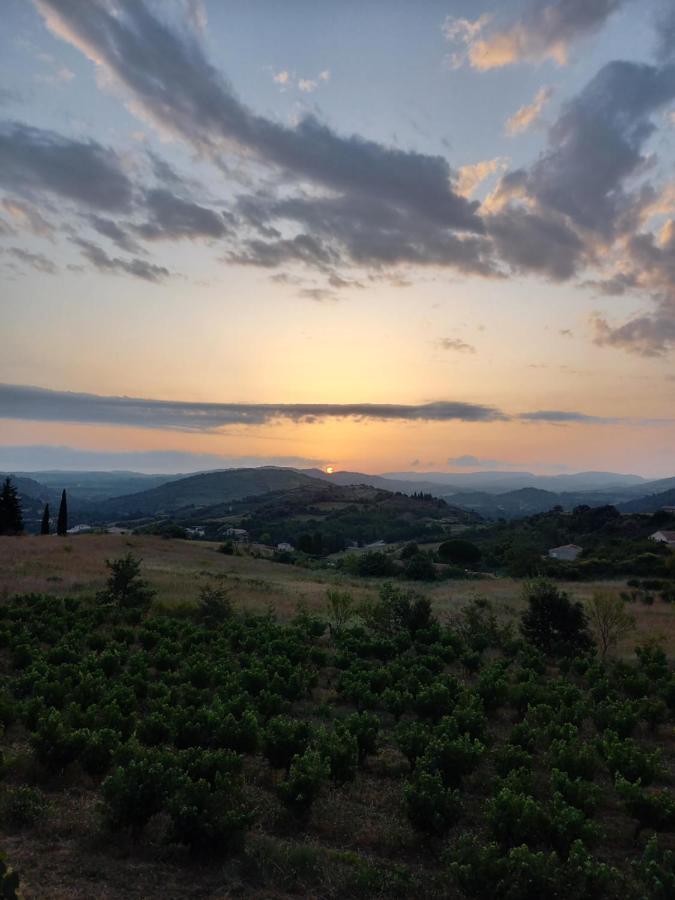 Gite Vigneron Du Domaine D'Alon Magrie Bagian luar foto