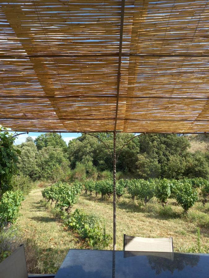 Gite Vigneron Du Domaine D'Alon Magrie Bagian luar foto
