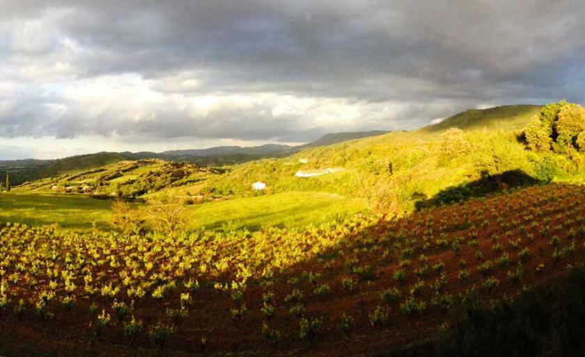 Gite Vigneron Du Domaine D'Alon Magrie Bagian luar foto
