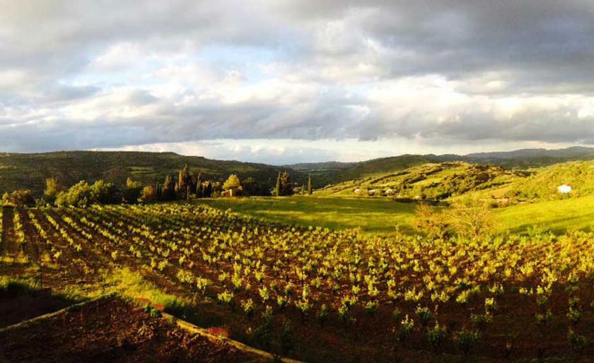 Gite Vigneron Du Domaine D'Alon Magrie Bagian luar foto