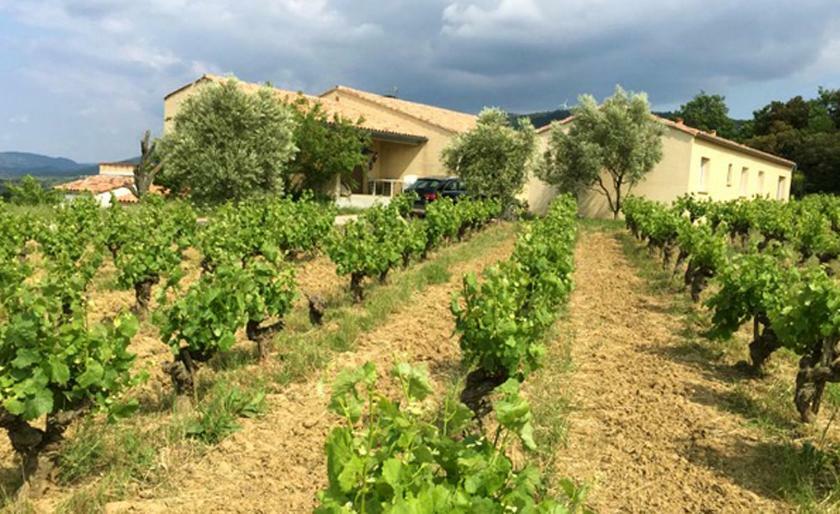 Gite Vigneron Du Domaine D'Alon Magrie Bagian luar foto