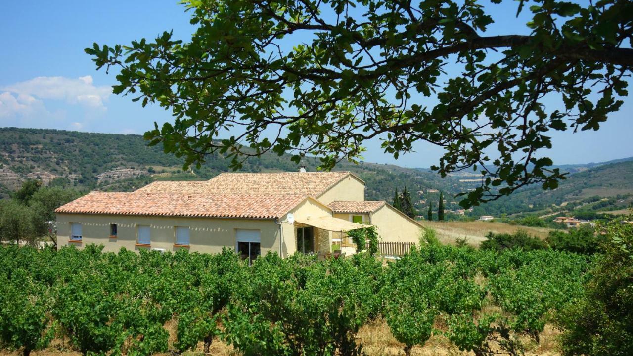 Gite Vigneron Du Domaine D'Alon Magrie Bagian luar foto