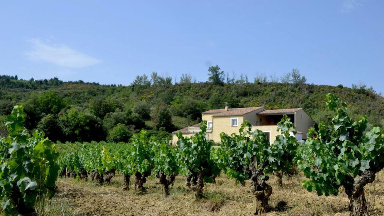 Gite Vigneron Du Domaine D'Alon Magrie Bagian luar foto