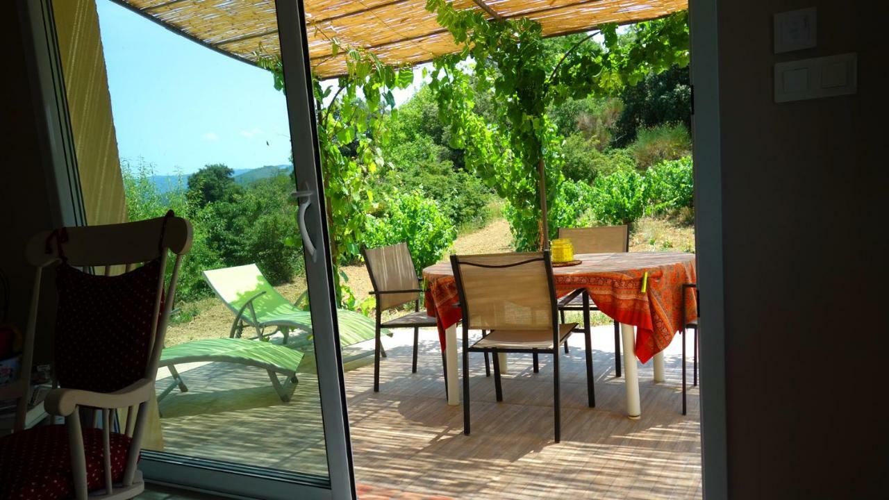 Gite Vigneron Du Domaine D'Alon Magrie Bagian luar foto