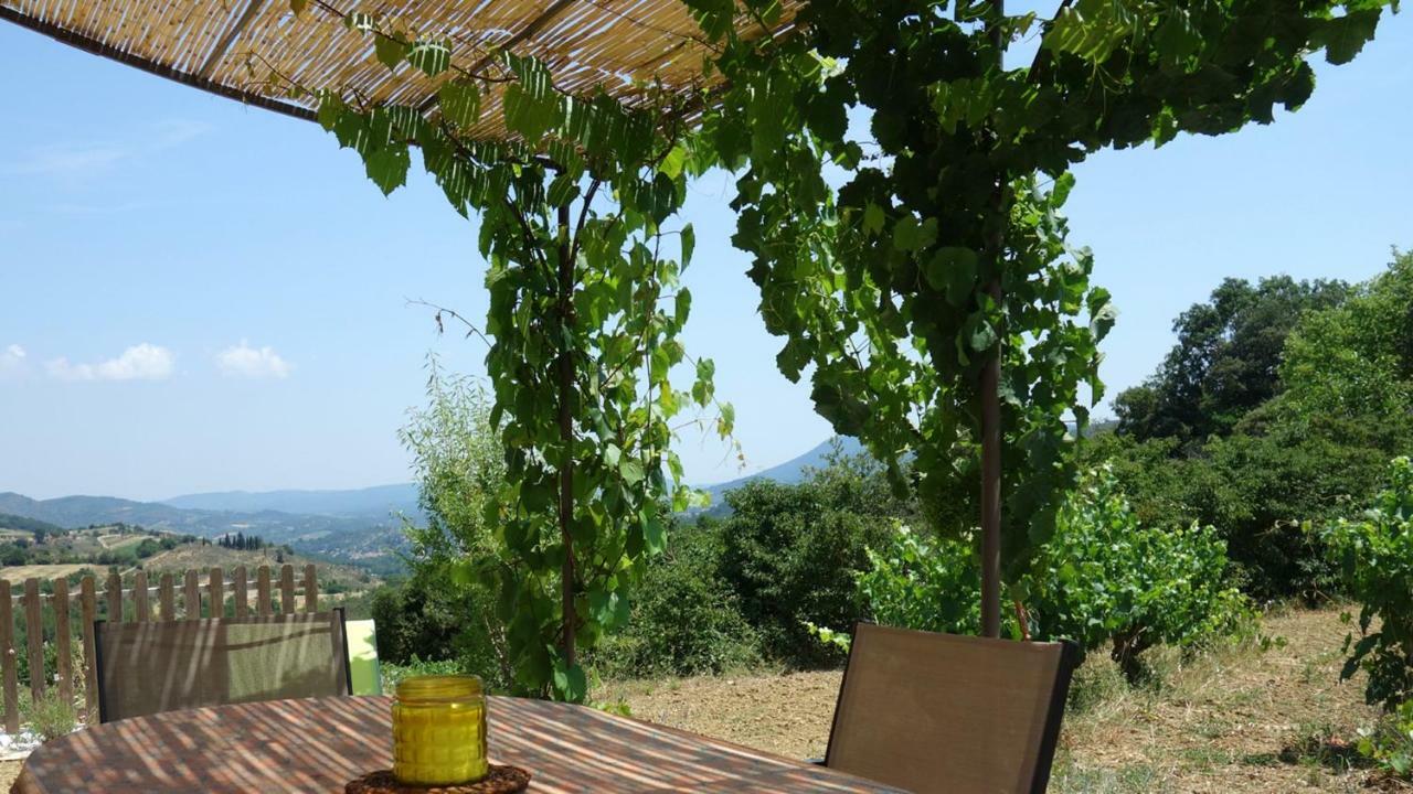 Gite Vigneron Du Domaine D'Alon Magrie Bagian luar foto